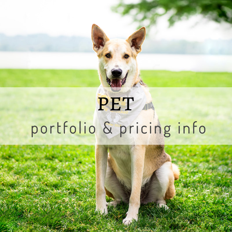 Pet Portfolio and Pricing Info