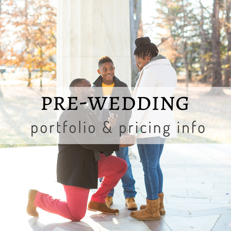 Pre-Wedding Portfolio and Pricing Info