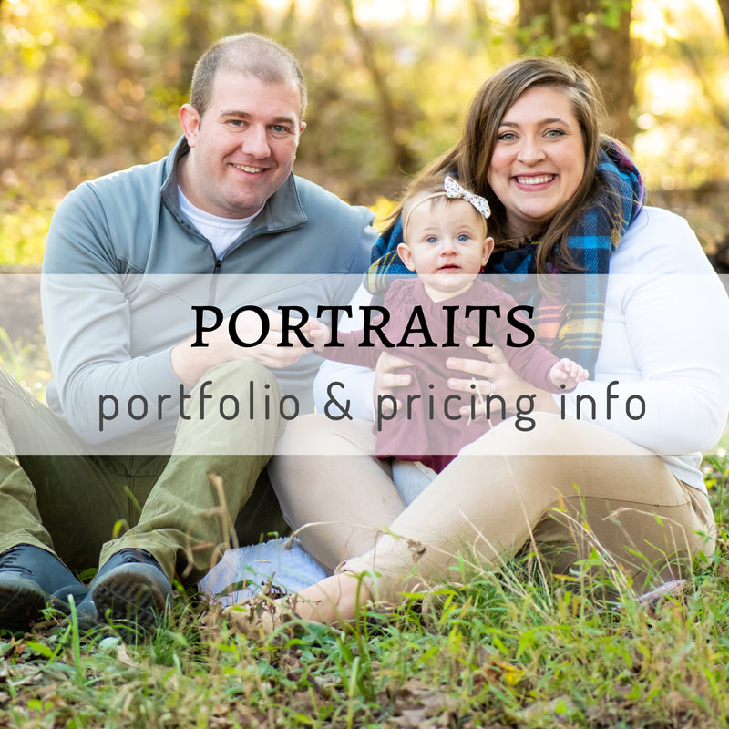Family Portraits Portfolio and Pricing Info